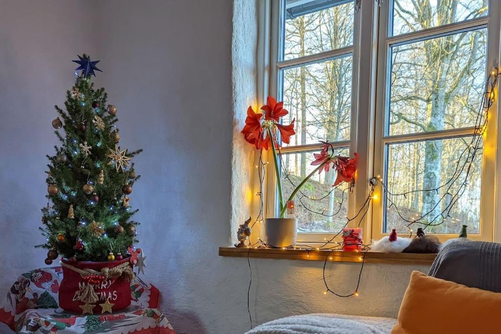 Beautiful And Cosy House Near The Lake Olofström Eksteriør bilde